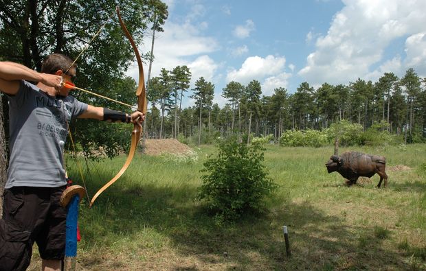 3D Bogenschießen und Waldklettergarten Gänserndorf Bogenschiessen online kaufen 3D Bogenschießen und Waldklettergarten Gänserndorf Bogenschiessen online kaufen