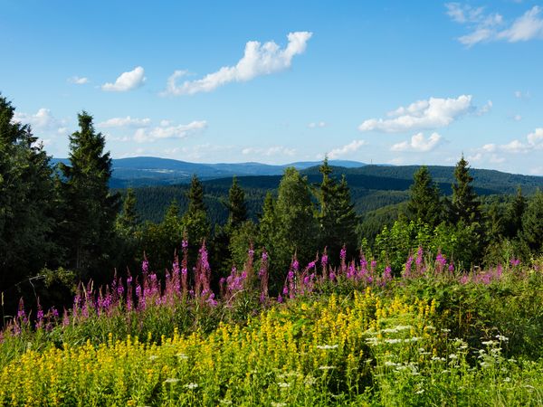 9 Tage Urlaub mit Frühstück im Gobel's Vital Hotel in Bad Sachsa Urlaub online kaufen