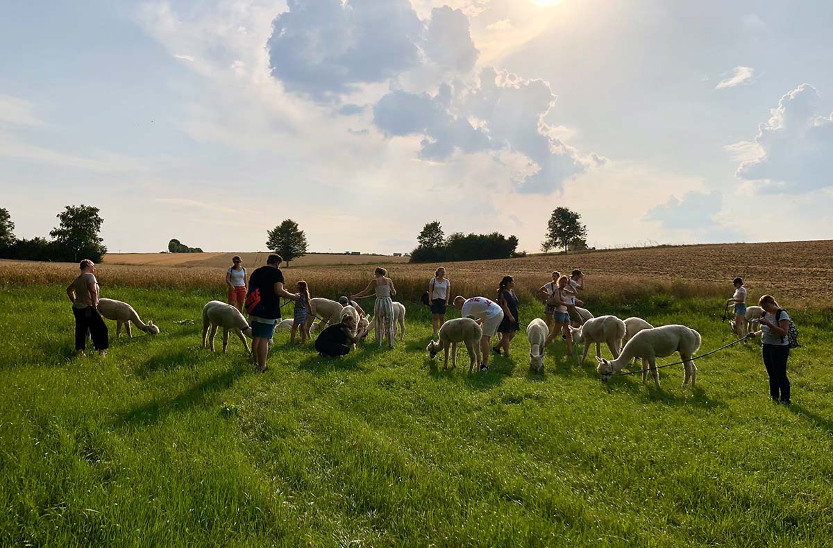 Alpaka Trekking für 2 Raum Dachau (4,5 Std.) in Altomünster Abenteuer und Action-Erlebnisse online kaufen