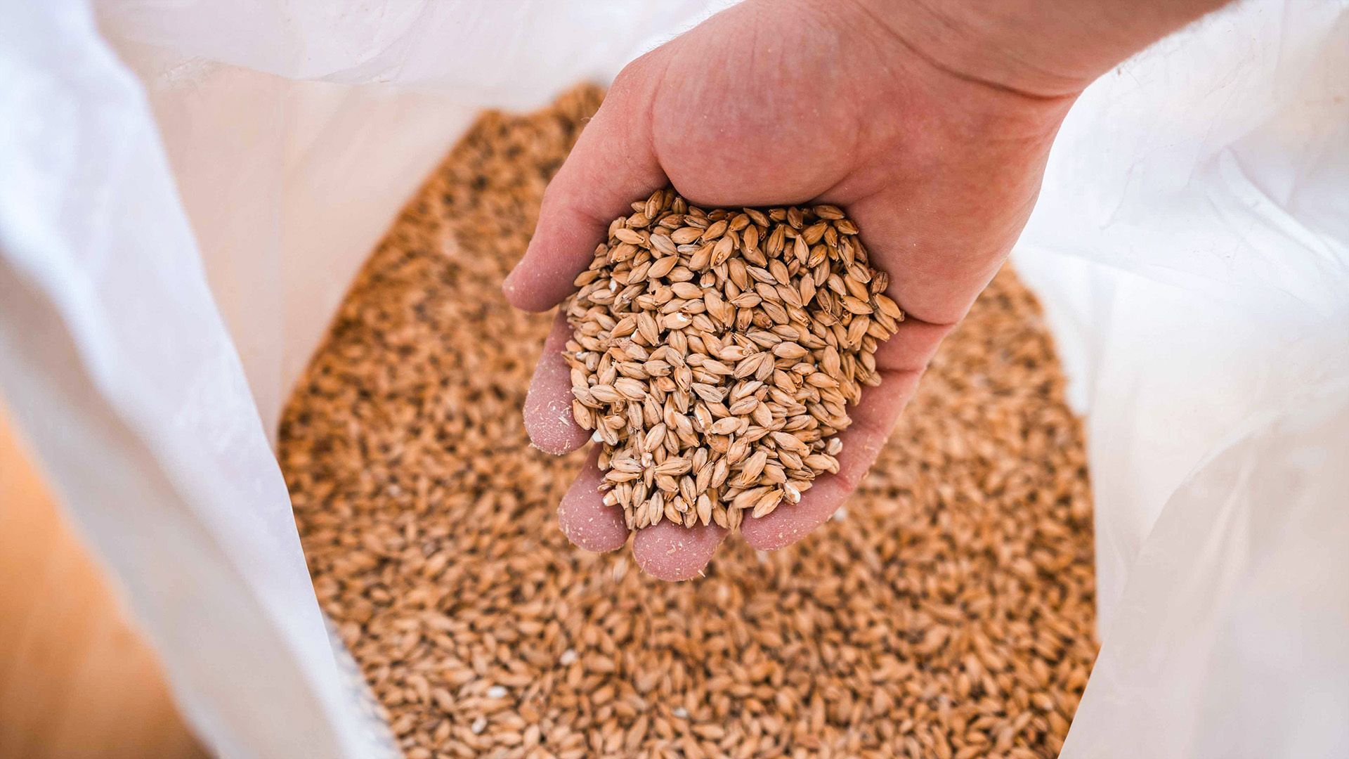 Bierbraukurs Schongau Braukurse online kaufen Bierbraukurs Schongau Braukurse online kaufen