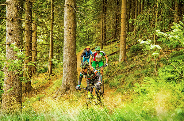 E Bike Tour Clausthal Zellerfeld (4 Std.) - Elektrisierend! Mit dem E-MTB offroad durch den Harz! in Clausthal-Zellerfeld Fahrspaß & Motorsport online kaufen