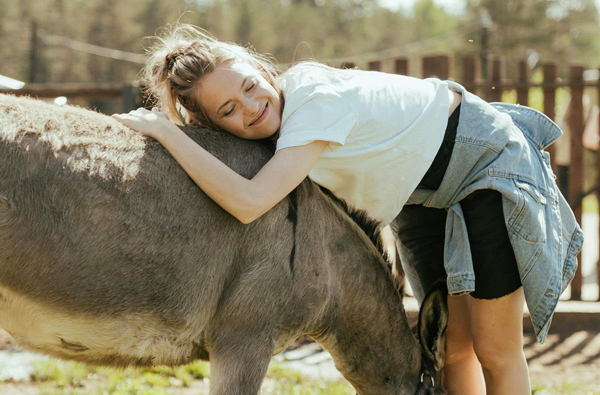 Eselwanderung - Eselwanderung: Entdecke die Natur neu! in Ribnitz-Damgarten,Barth,Kuhlen-Wendorf,Bad Doberan Abenteuer und Action-Erlebnisse online kaufen