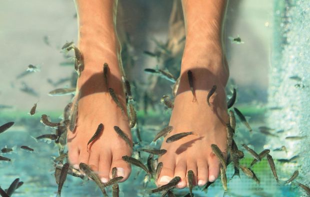 Fisch Pediküre Bergisch Gladbach Beauty & Wellness online kaufen