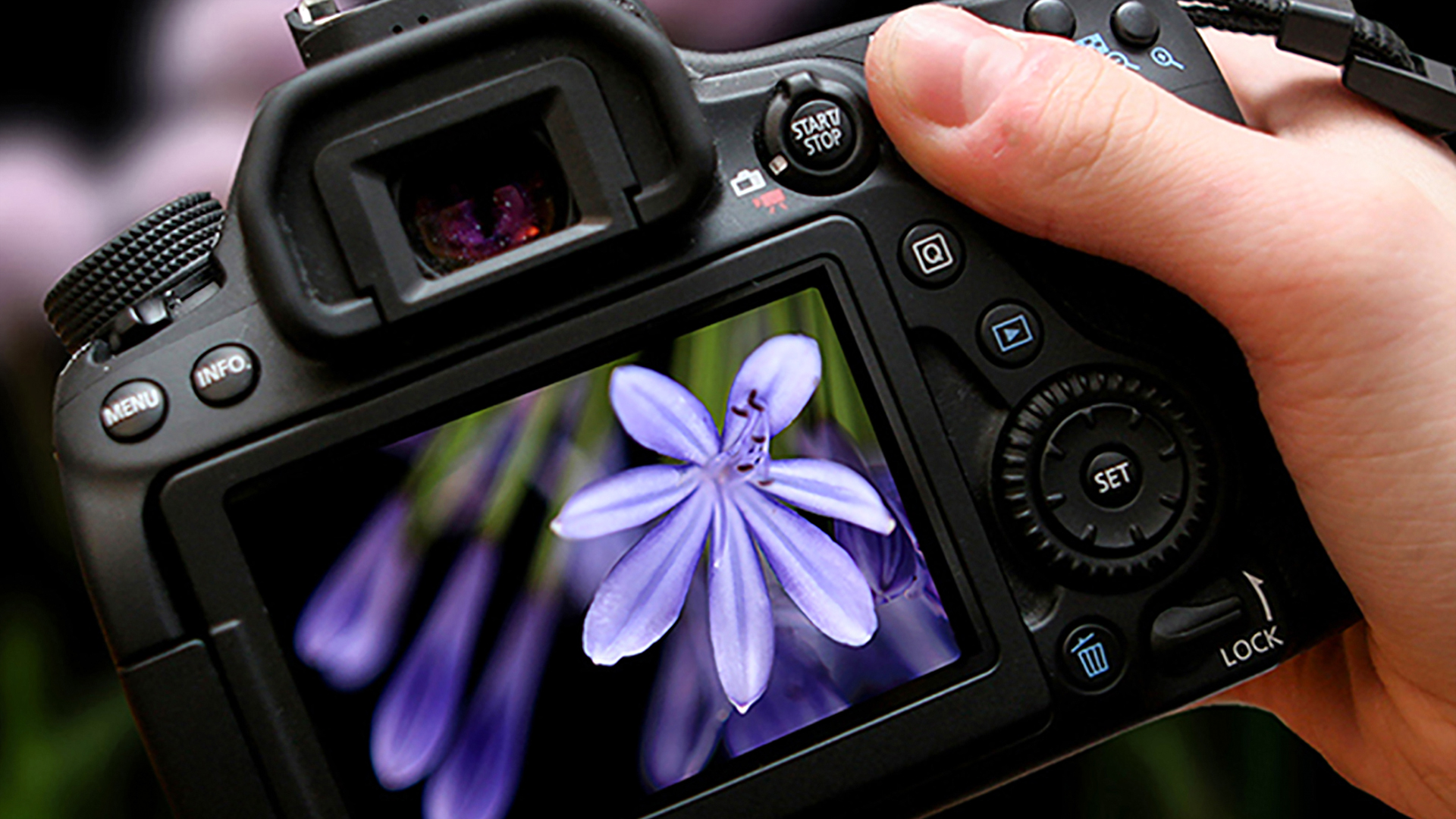 Fotokurs Köln (Einzelcoaching) Fotokurse online kaufen Fotokurs Köln (Einzelcoaching) Fotokurse online kaufen