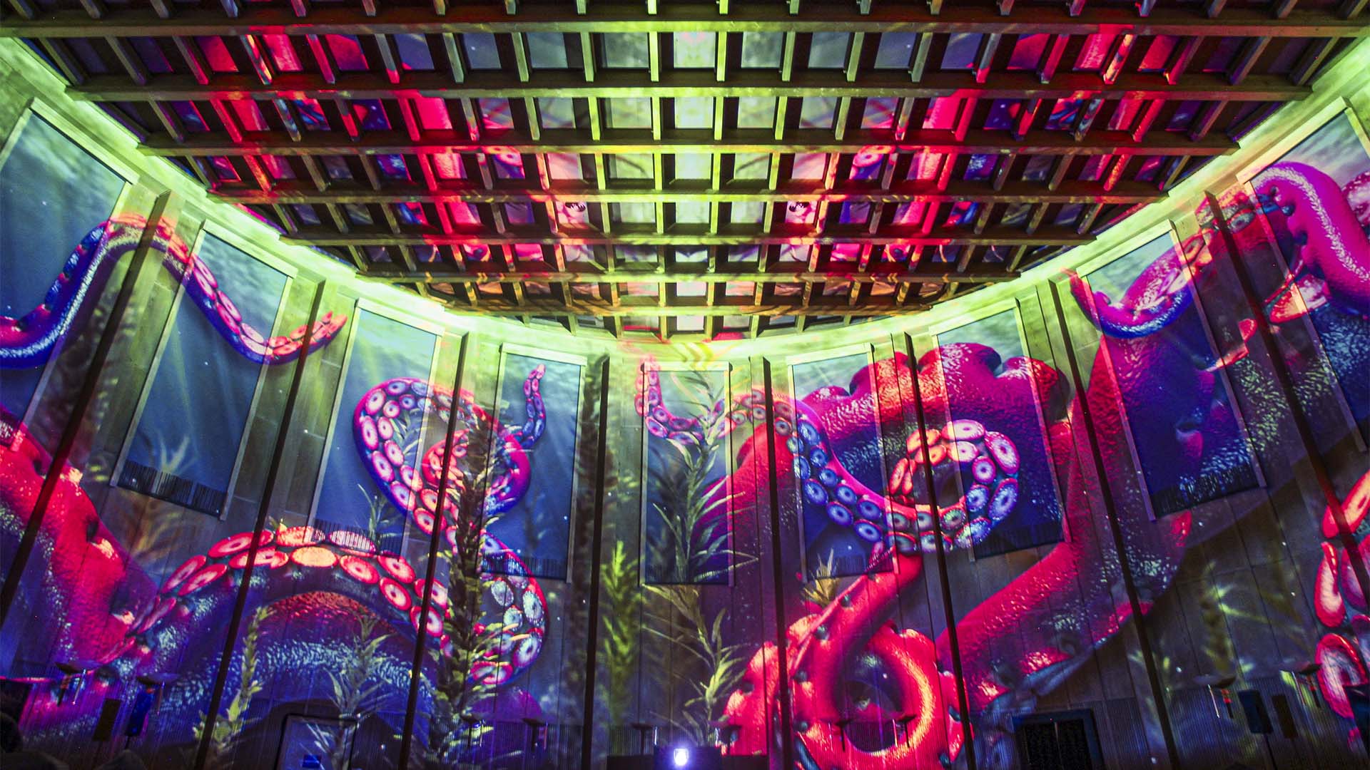Immersive Show Heidelberg (Pixel Zoo) Shows online kaufen Immersive Show Heidelberg (Pixel Zoo) Shows online kaufen