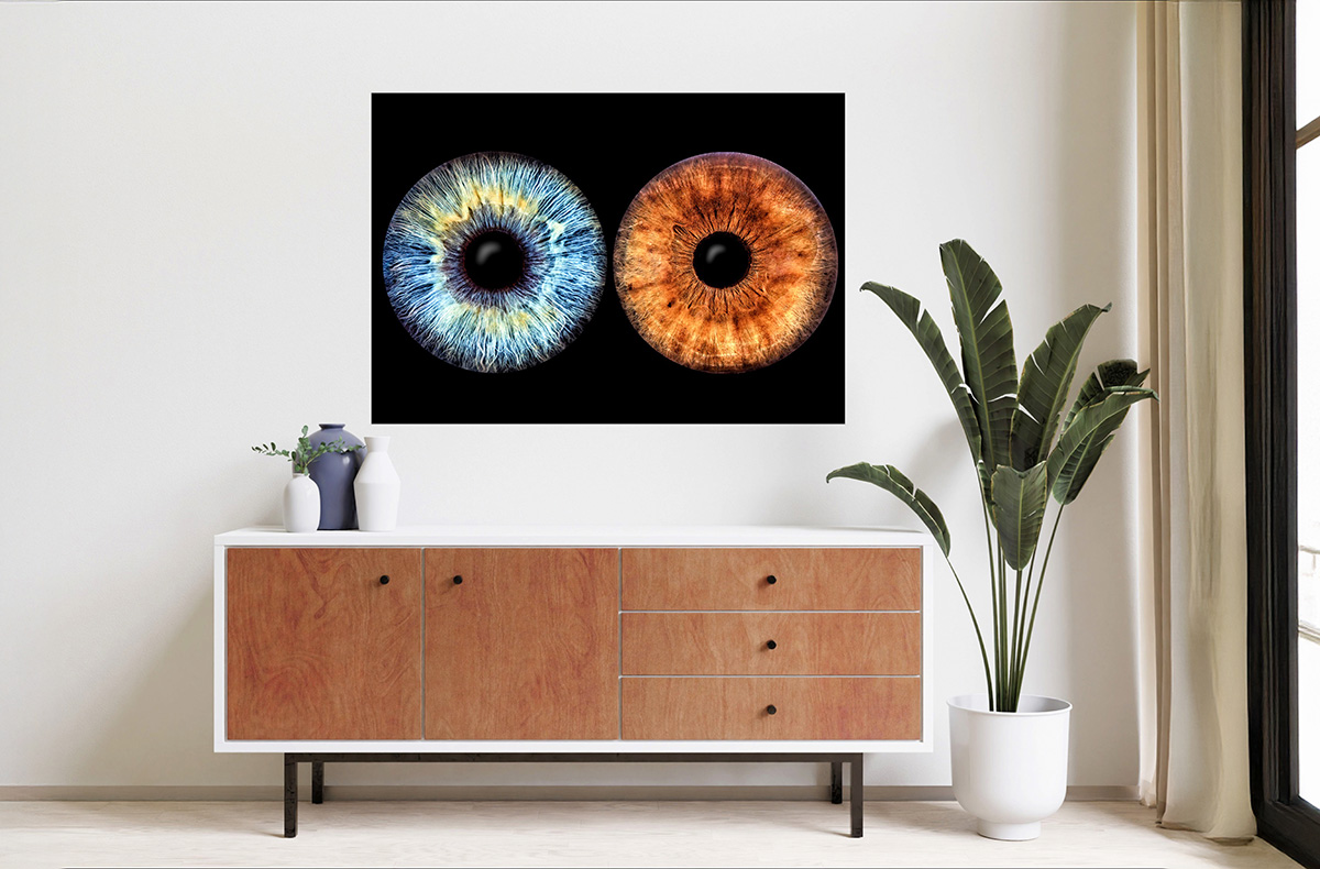 Iris Fotografie für 2 Haßfurt - Eure Augen als Kunstwerk – Irisfotografie erleben! Fotokurse online kaufen
