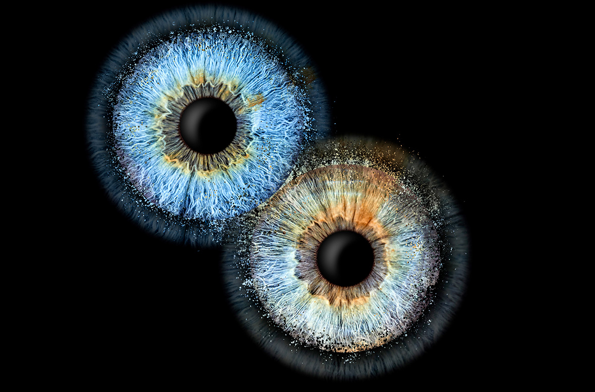 Iris Fotografie Fusion für 2 Haßfurt Fotokurse online kaufen