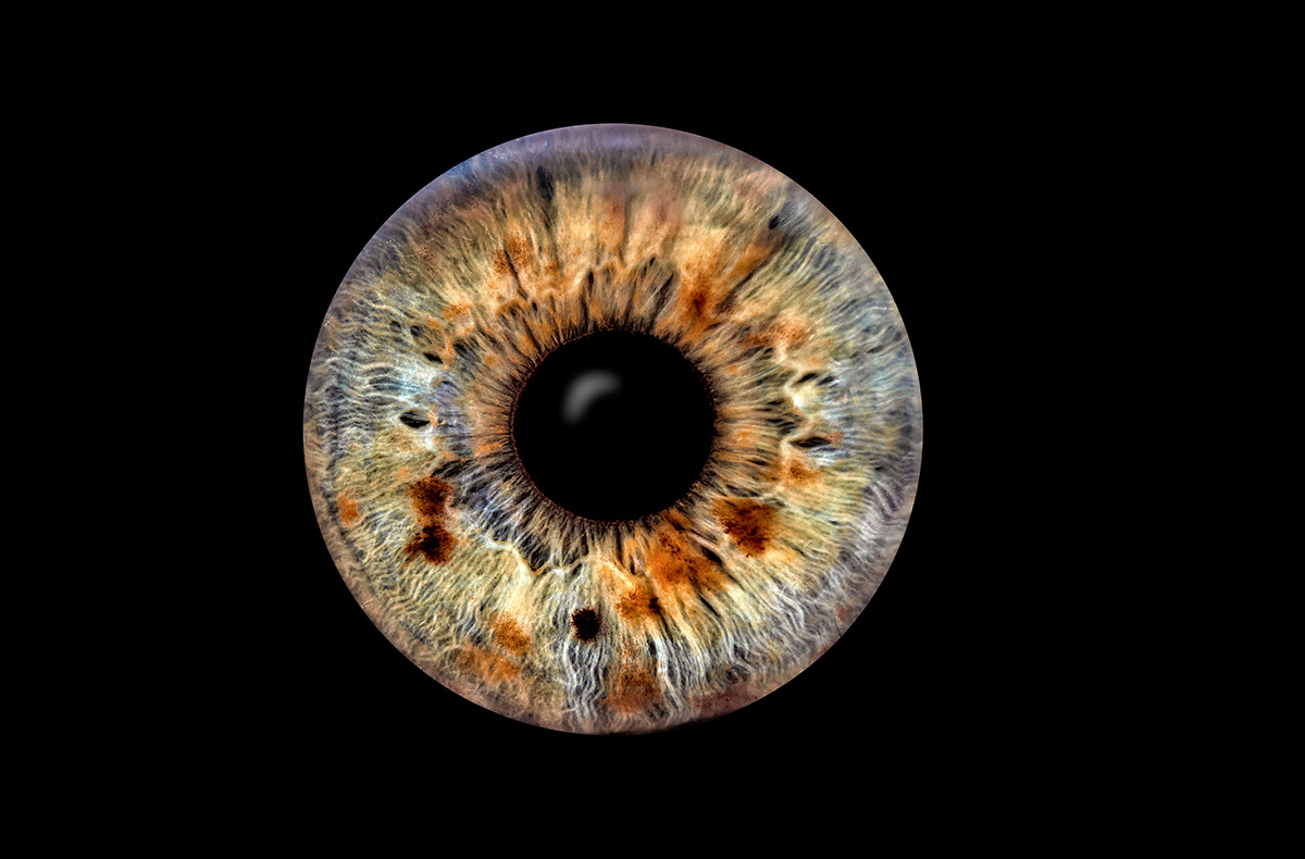 Iris Fotografie Haßfurt Fotokurse online kaufen