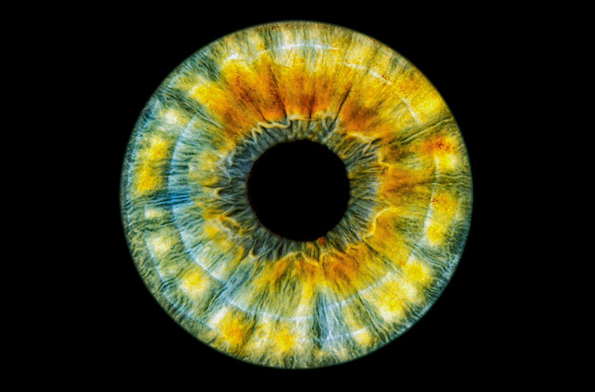 Iris Fotografie Hechingen Fotokurse online kaufen