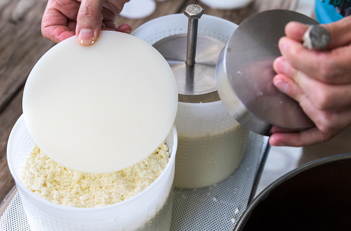 Käse selber machen Buch a. Erlbach - Deine eigene Käseherstellung Kochkurse online kaufen Käse selber machen Buch a. Erlbach - Deine eigene Käseherstellung Kochkurse online kaufen