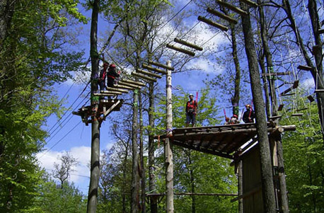 Kletterparcours im Waldseilgarten - Alleingang in luftiger Höhe! in Beelitz,Krems in Kärnten,Hennigsdorf,Strausberg,Schotten,Kammerforst,Anif,Velbur und weitere Orte! Kletterkurse / Kletterwälder online kaufen