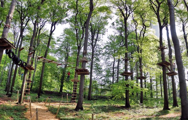Kletterparcours im Waldseilgarten Schotten Hochseilgärten online kaufen