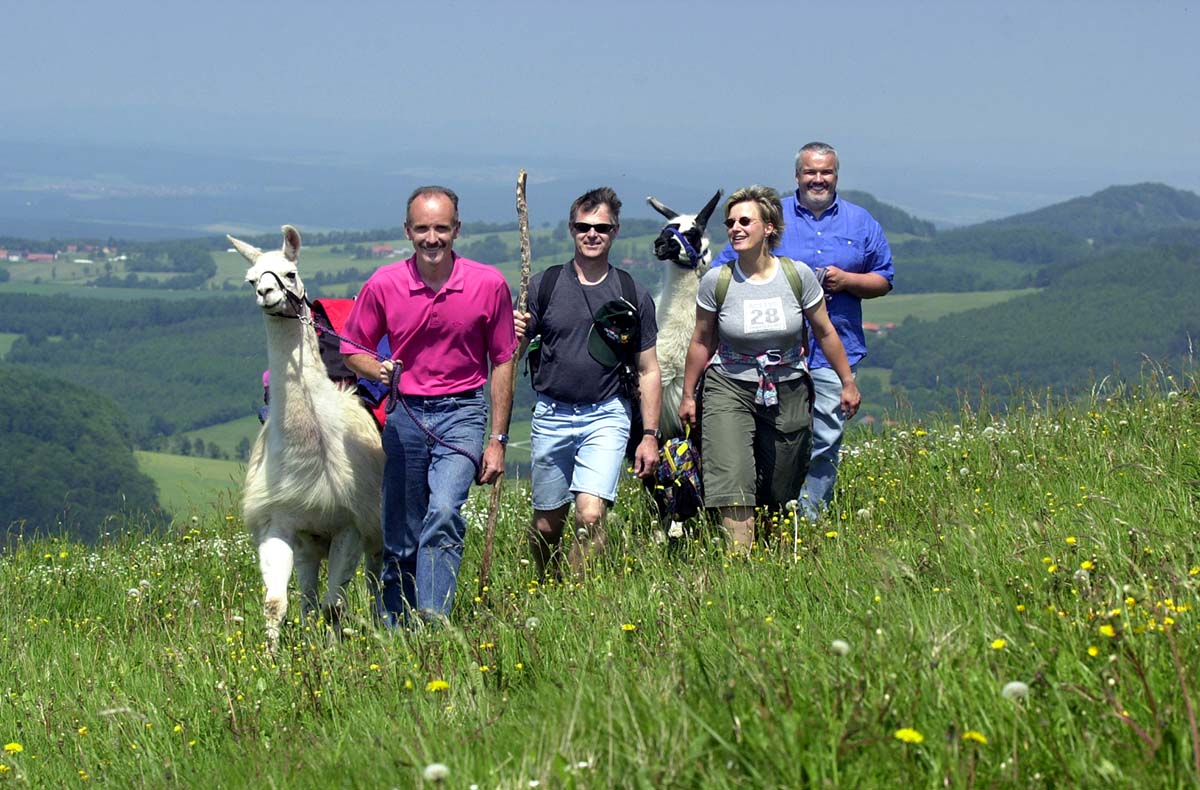 Lama Trekking Poppenhausen für 2 Abenteuer und Action-Erlebnisse online kaufen