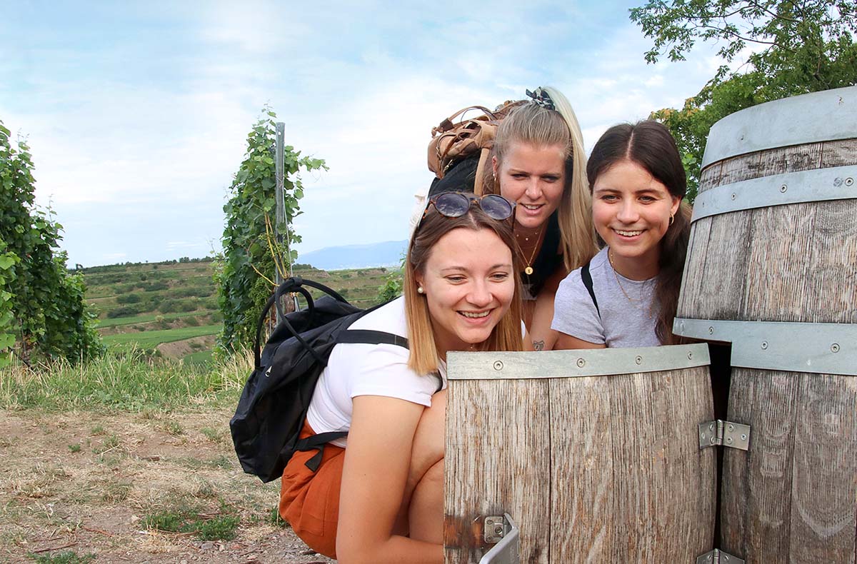Outdoor Escape Gruppe - Anfänger "In Vino Veritas" Königswinter - Jetzt erleben! Escape Game online kaufen