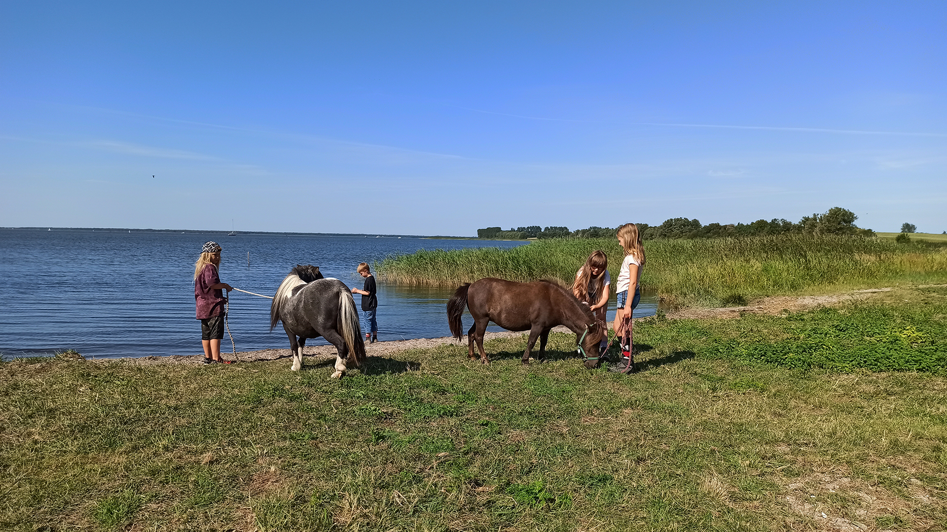 Pony Spaziergang Hirschburg in Ribnitz-Damgarten Abenteuer und Action-Erlebnisse online kaufen
