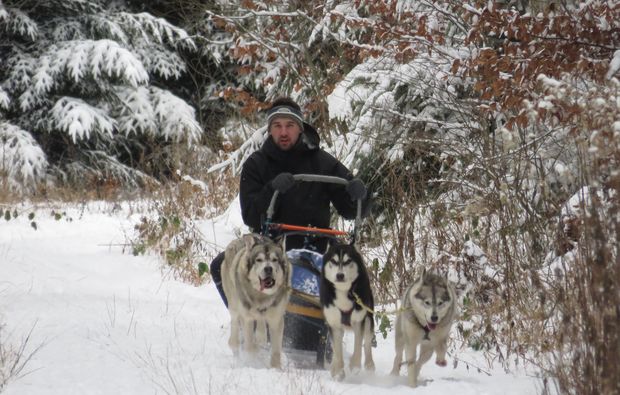 Schlittenhunde-Workshop Bad Herrenalb Abenteuer und Action-Erlebnisse online kaufen Schlittenhunde-Workshop Bad Herrenalb Abenteuer und Action-Erlebnisse online kaufen