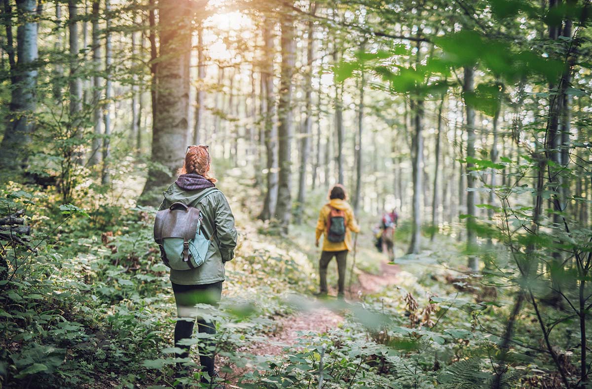 Survival Tag für 2 Dresden Erlebniscamps online kaufen Survival Tag für 2 Dresden Erlebniscamps online kaufen