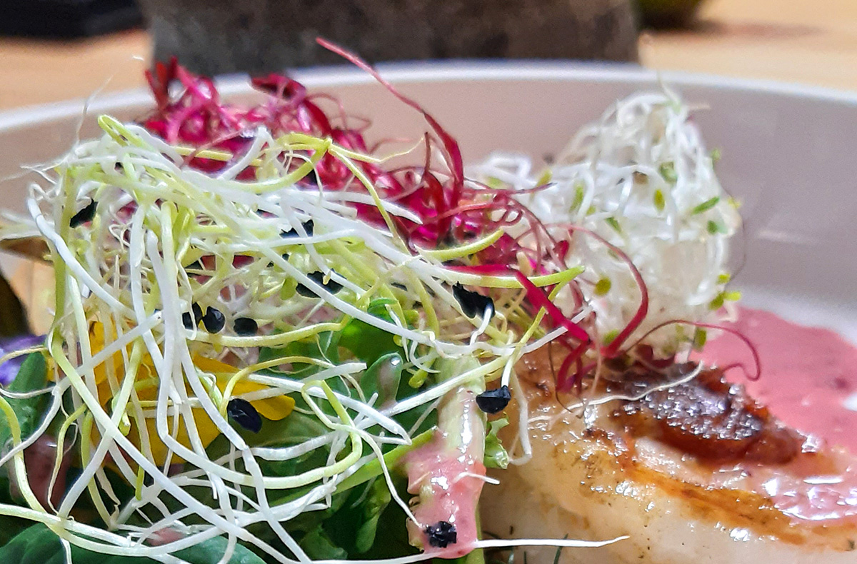 Veganer Kochkurs Dresden Kochkurse online kaufen Veganer Kochkurs Dresden Kochkurse online kaufen