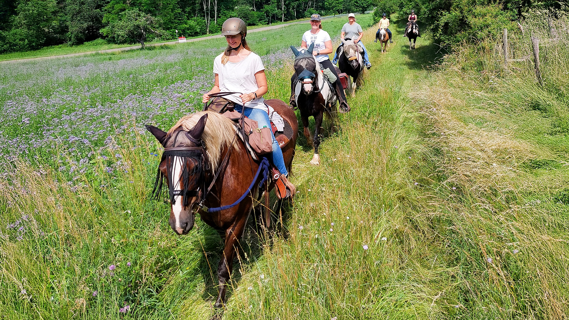 Wanderreiten mit Picknick Weiler bei Monzingen Abenteuer und Action-Erlebnisse online kaufen Wanderreiten mit Picknick Weiler bei Monzingen Abenteuer und Action-Erlebnisse online kaufen