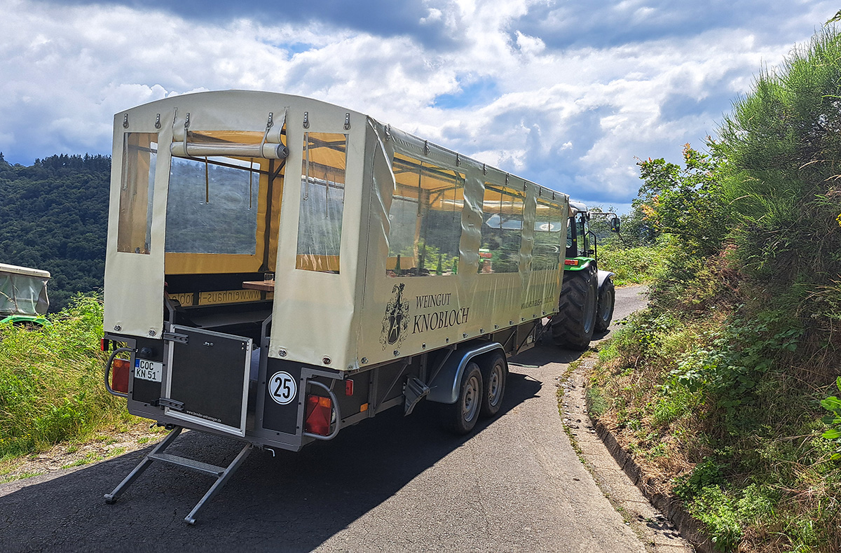 Weinausflug & Schifffahrt auf der Mosel Bullay Abenteuer und Action-Erlebnisse online kaufen