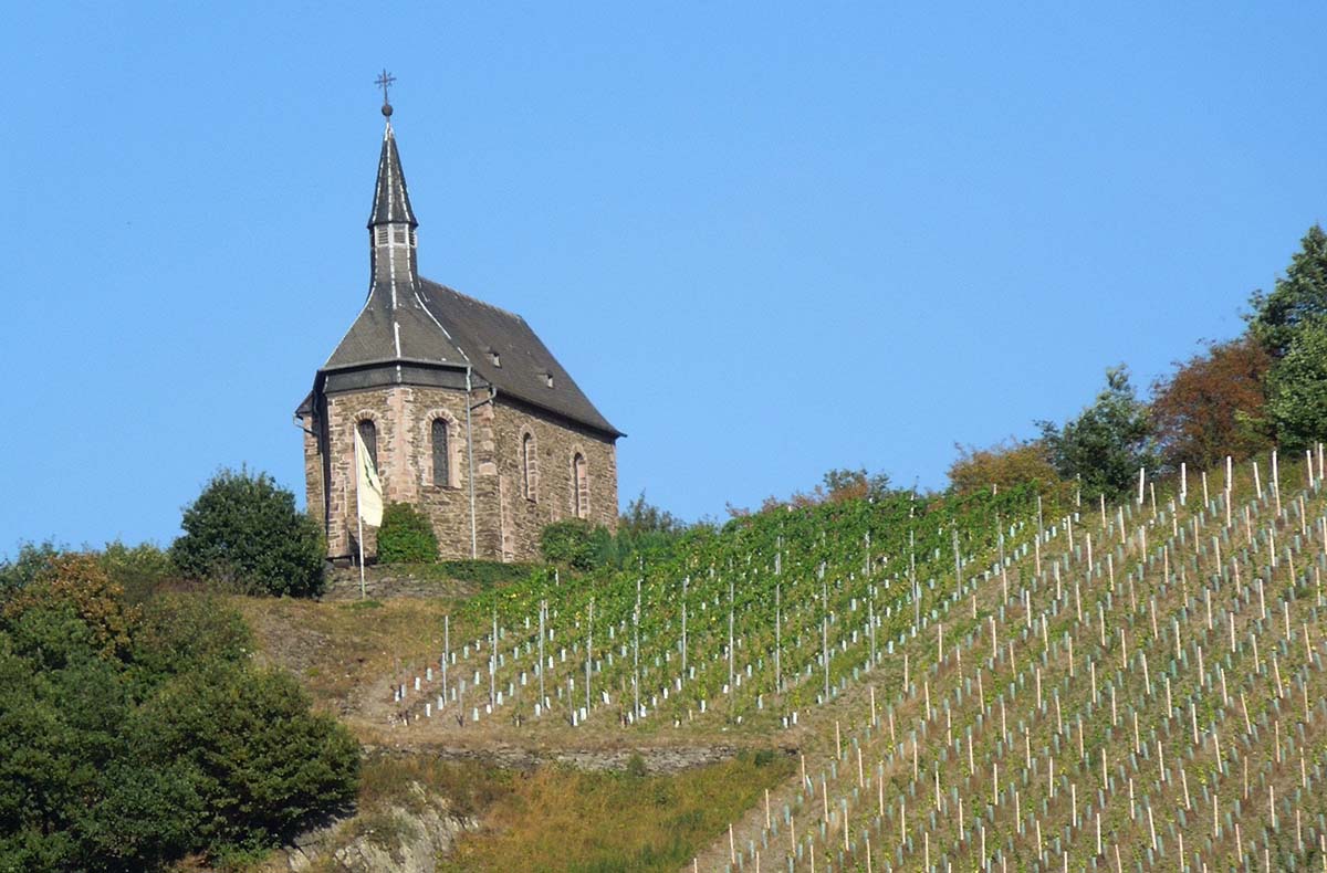 Weinbergwanderung Lorch Abenteuer und Action-Erlebnisse online kaufen Weinbergwanderung Lorch Abenteuer und Action-Erlebnisse online kaufen