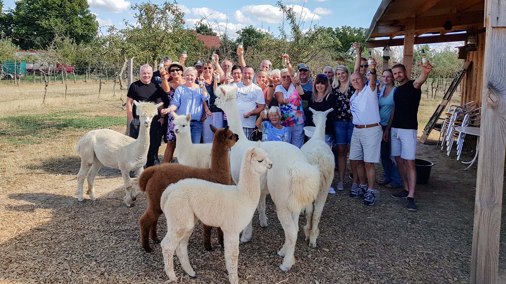 Weintasting auf der Alpakaweide in Landau in der Pfalz Kulinarische Veranstaltungen online kaufen Weintasting auf der Alpakaweide in Landau in der Pfalz Kulinarische Veranstaltungen online kaufen